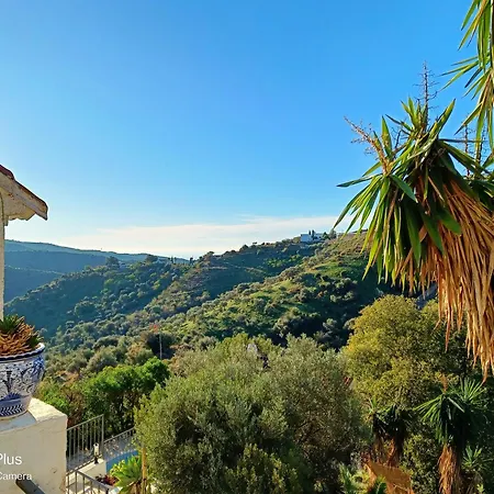 Casa Del Palmas - Charming Private With 2 Bedrooms ヴィラ *