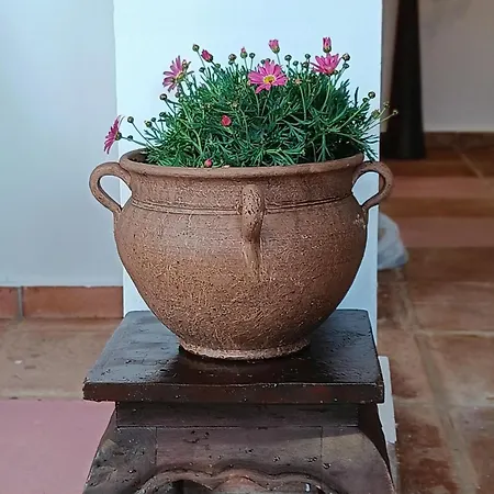 Casa Del Palmas - Charming Private With 2 Bedrooms ヴィラ