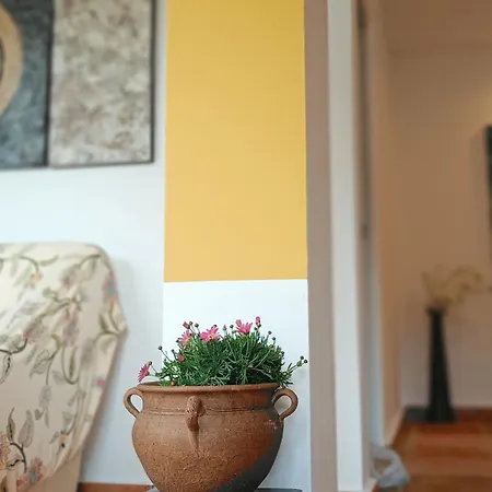 ヴィラ Casa Del Palmas - Charming Private With 2 Bedrooms Moclinejo